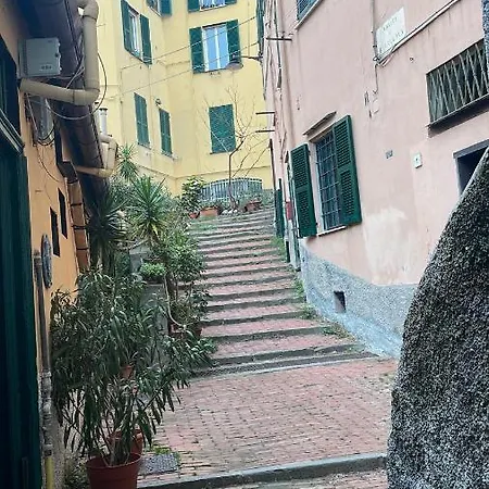Centro